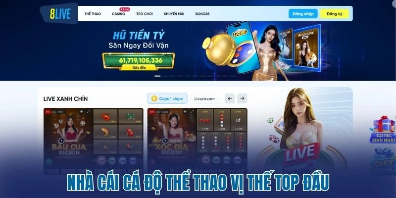 8Live - Nhà Cái Cá Cược Thể Thao Đẳng Cấp Chuẩn Quốc Tế 1 Nhà cái cá độ thể thao vị thế top đầu